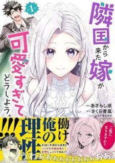 Rinkoku kara Kita Yome ga Kawaisugite Doushiyou